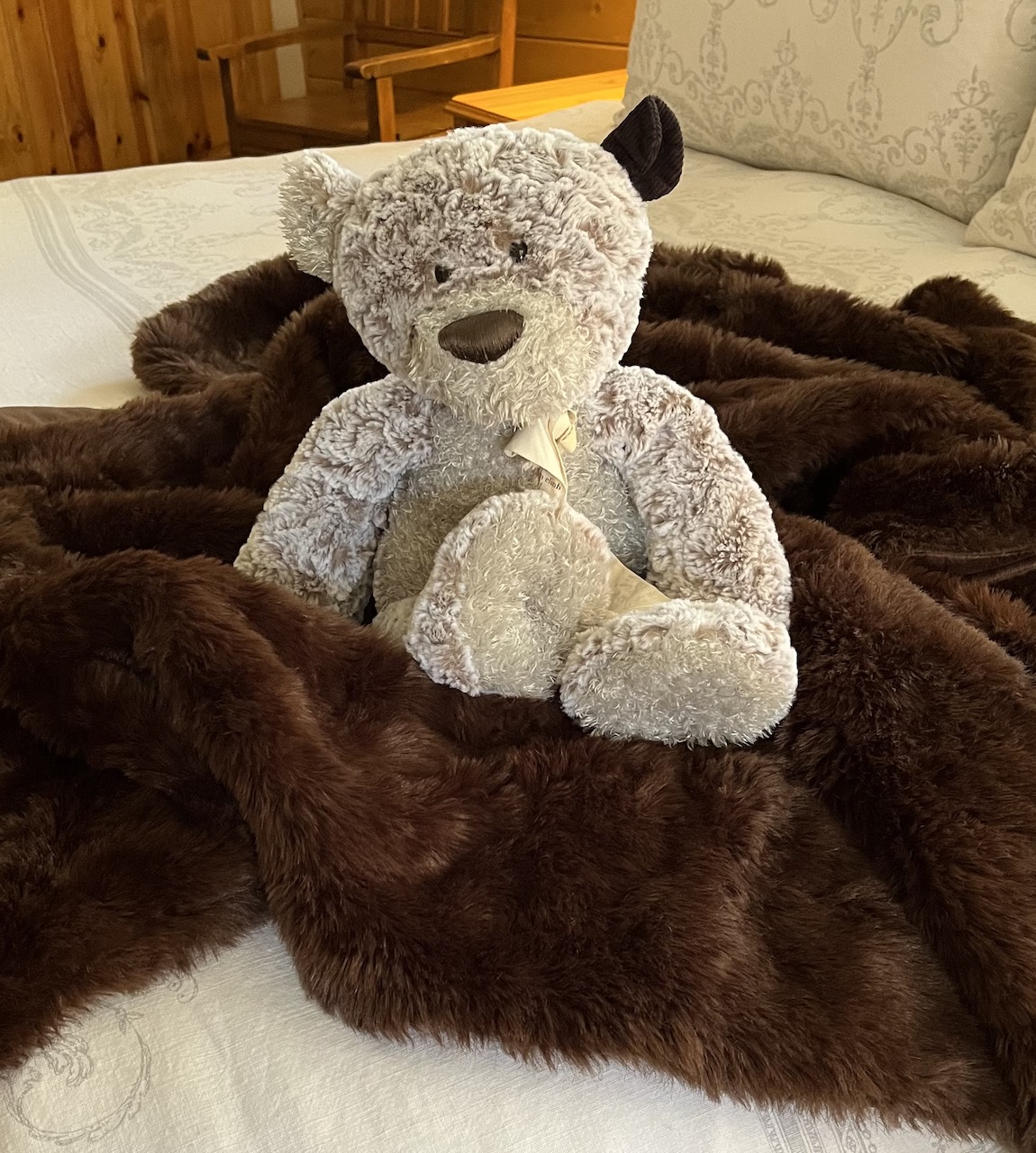Little Bears Lodge